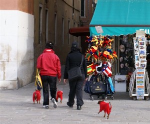 Beneški kužki s stilom Beneški kužki s stilom